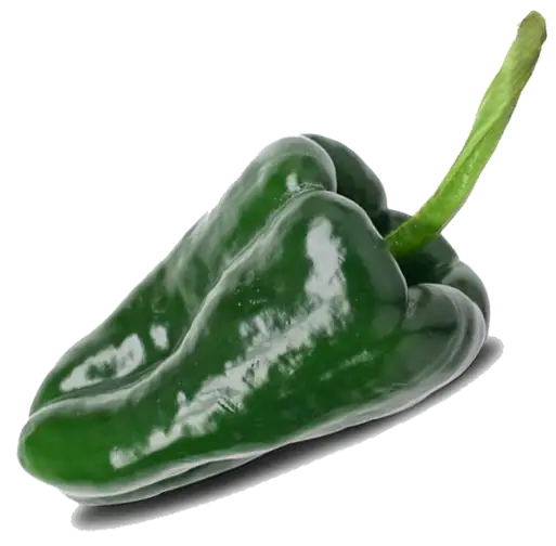 Green Poblano Pepper with Fresh Appearance
