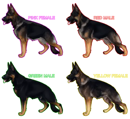 German Shepherd Puppies with Color Labels