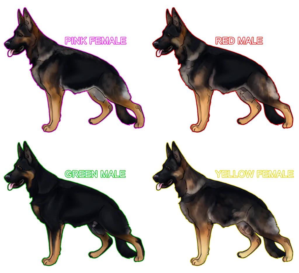 German Shepherd Puppies with Color Labels