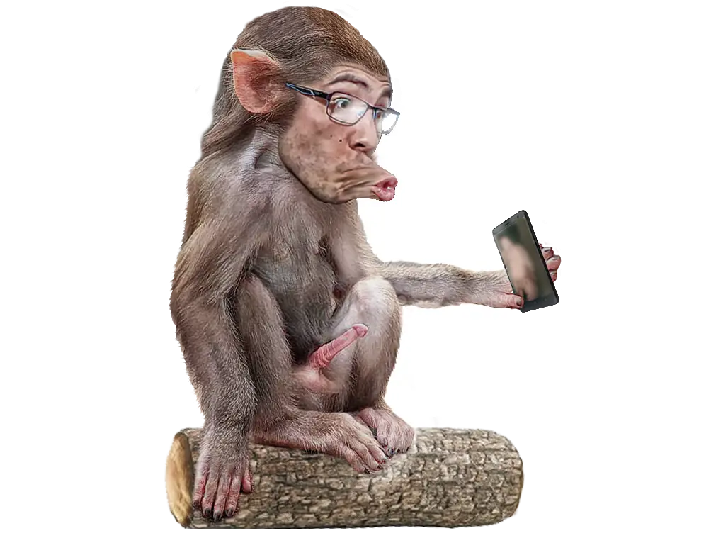 Monkey Taking a Selfie