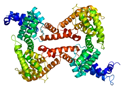 Protein Complex 3D Representation