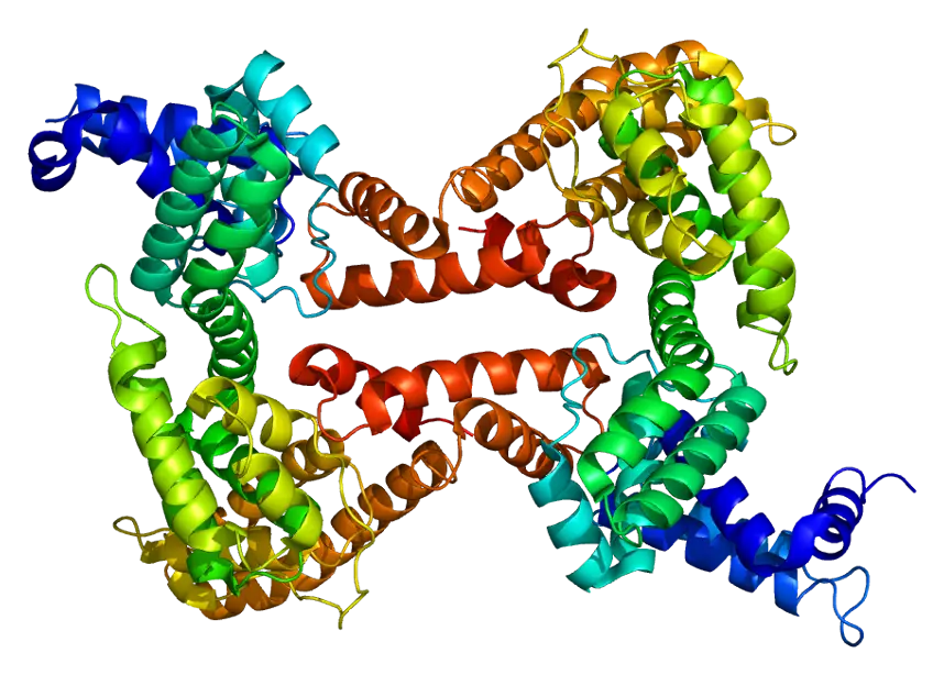 Protein Complex 3D Representation