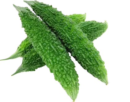 Fresh Green Bitter Melon