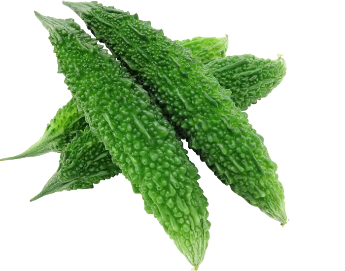 Fresh Green Bitter Melon