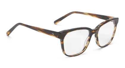 Tortoiseshell Eyeglasses with Clear Lenses