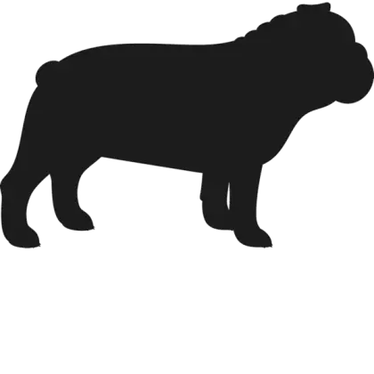 Bulldog Silhouette Illustration in Black