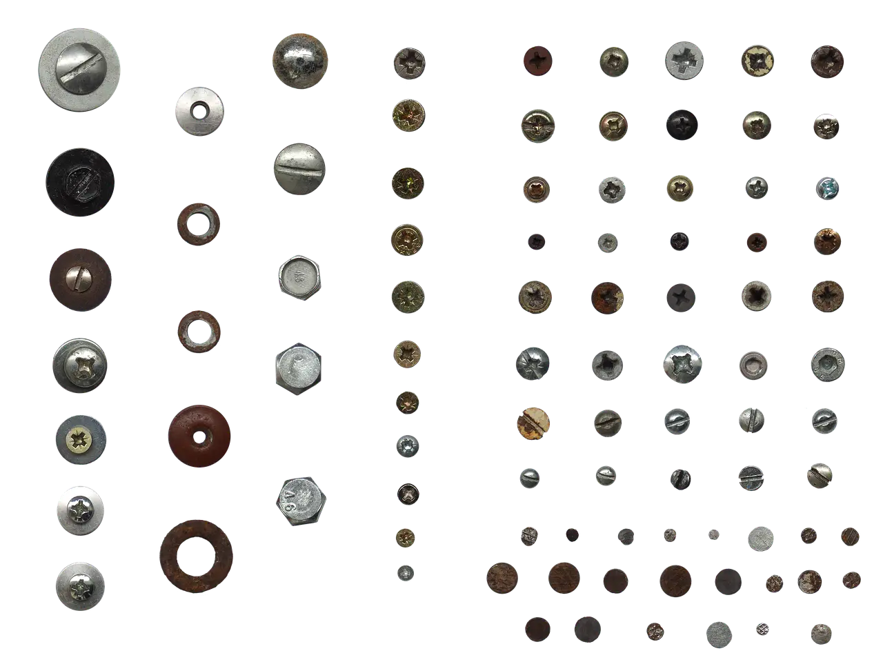 Assorted Screws and Bolts