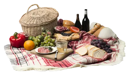 Picnic Setup with Food and Wine