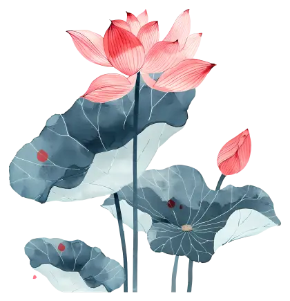 Pink Lotus Flowers Illustration