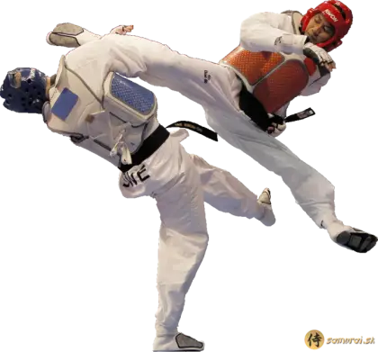 Taekwondo Sparring Action Scene