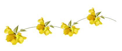 Yellow Flowers with Green Leaves