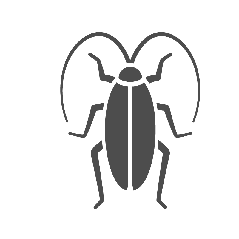 Cockroach Icon Illustration