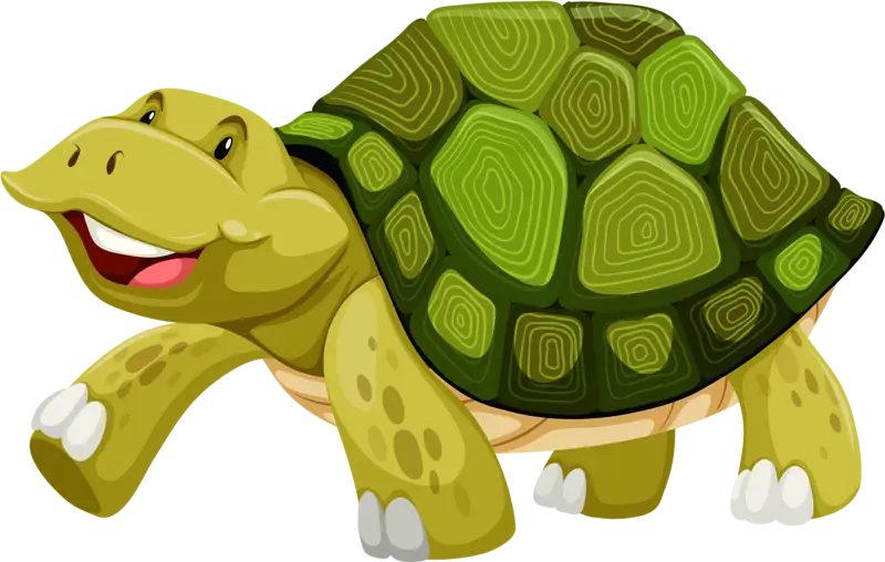 Cute Green Cartoon Turtle Illustration