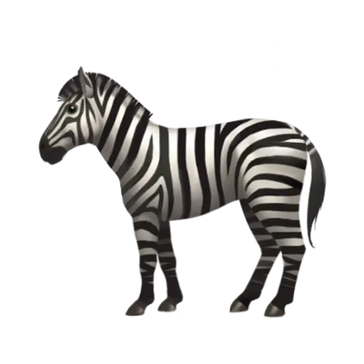 Zebra Illustration with Black and White Stripes