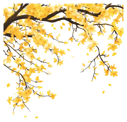 Yellow Blossoms on Branch