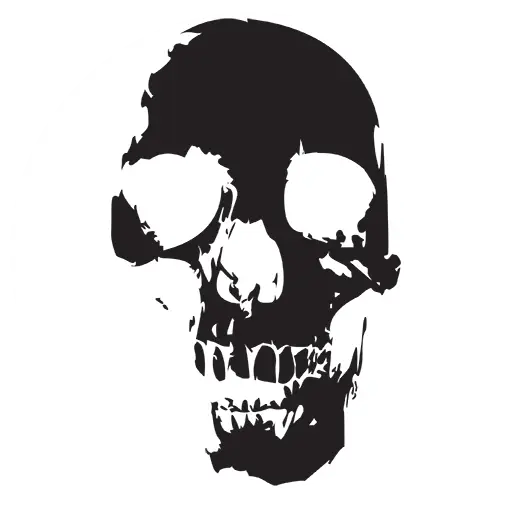 Black and White Skull Symbol