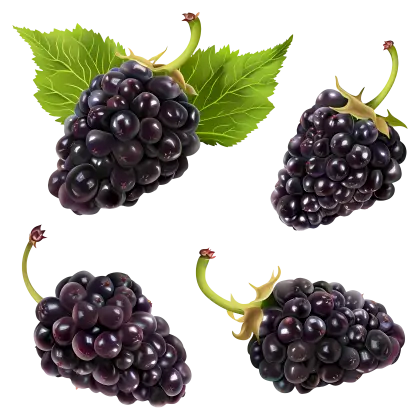 Fresh Blackberries With Green Leaves