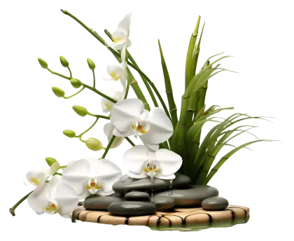 Spa Orchids with Decorative Stones