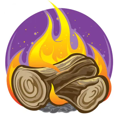 Campfire with Logs