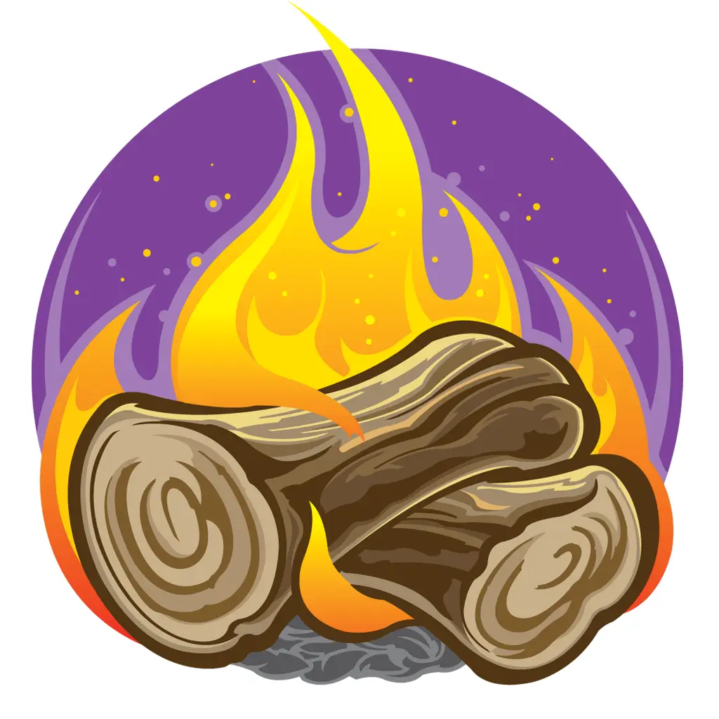 Campfire with Logs