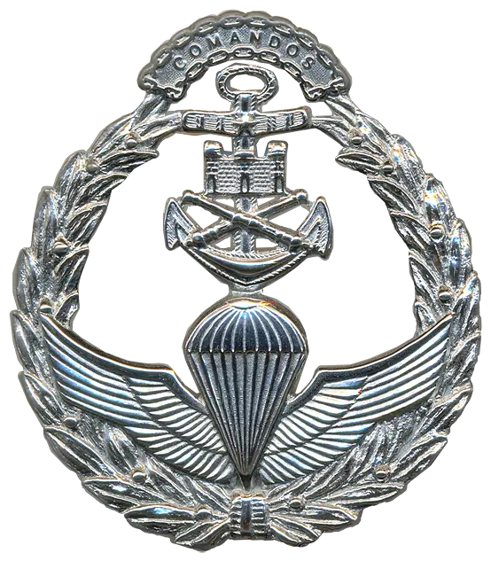 Commandos Badge