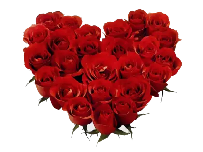 Heart-Shaped Red Rose Bouquet
