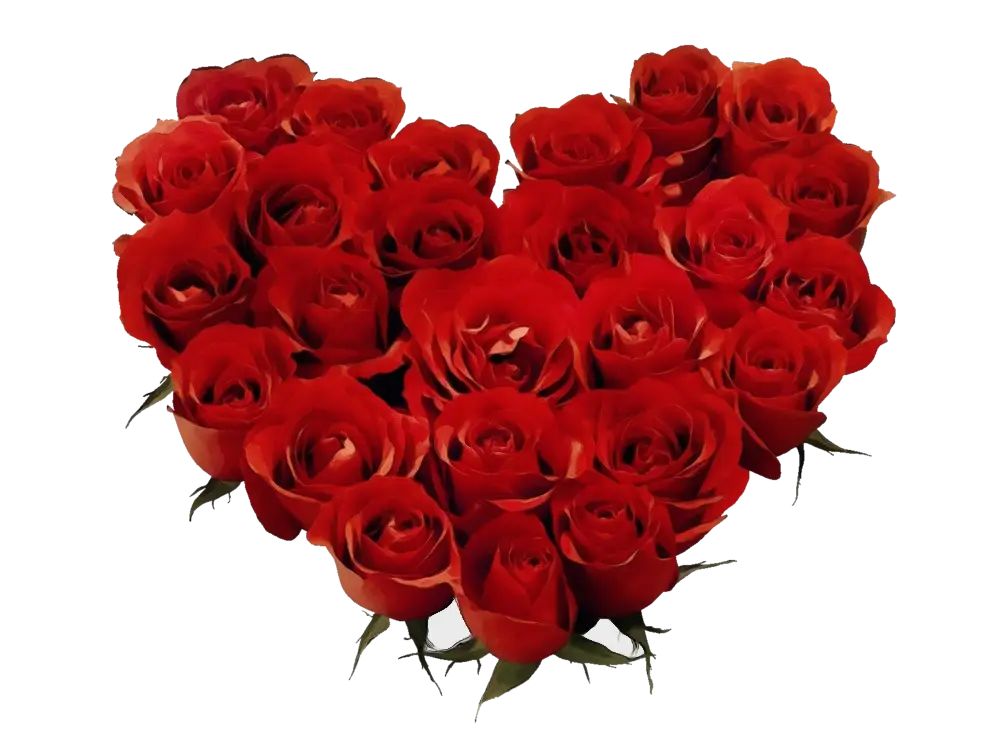 Heart-Shaped Red Rose Bouquet