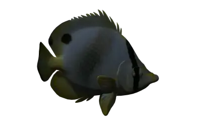 Dark Tropical Fish Illustration