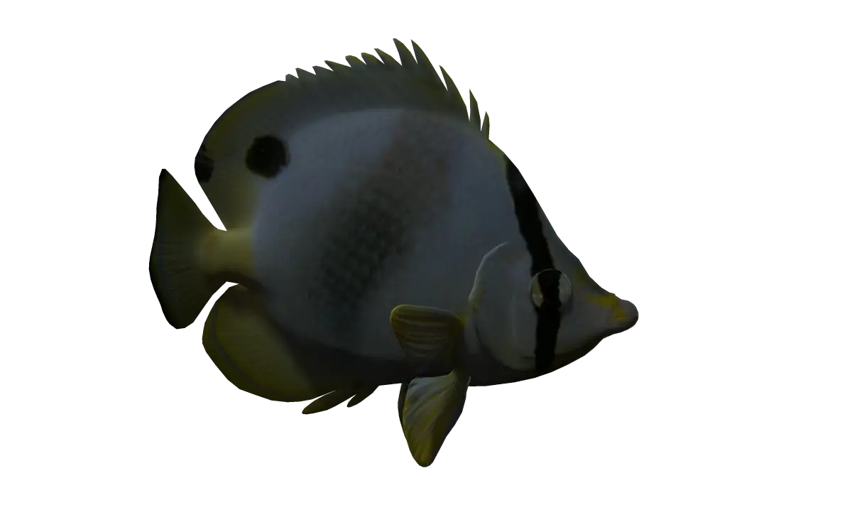 Dark Tropical Fish Illustration