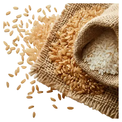 Brown and White Rice Grains on Sack