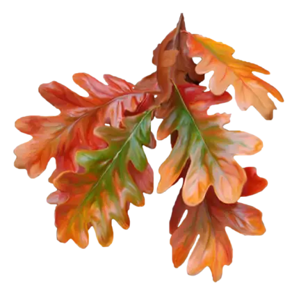 Colorful Autumn Oak Leaves