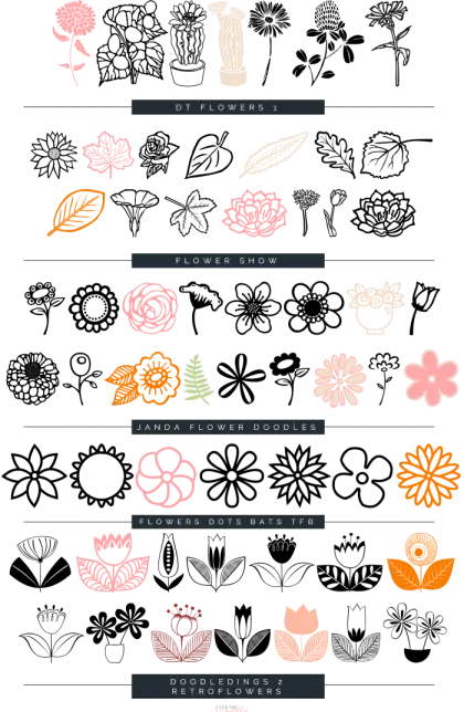 Botanical Flower Doodles Illustration