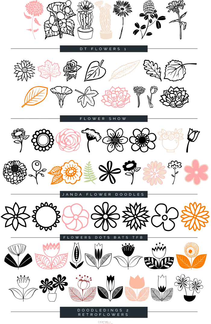 Botanical Flower Doodles Illustration