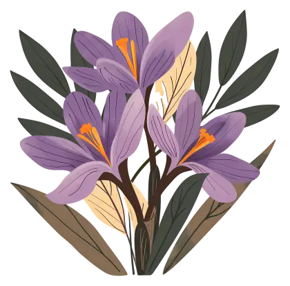 Purple crocus flowers in a natural setting