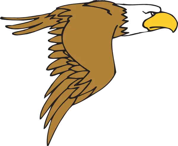 Cartoon Flying Eagle Illustration
