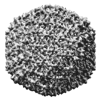 3D Microscopic Visualization of Virus Structure