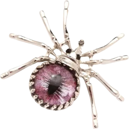 Silver Spider with Eye