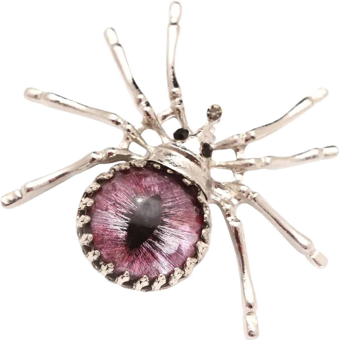 Silver Spider with Eye
