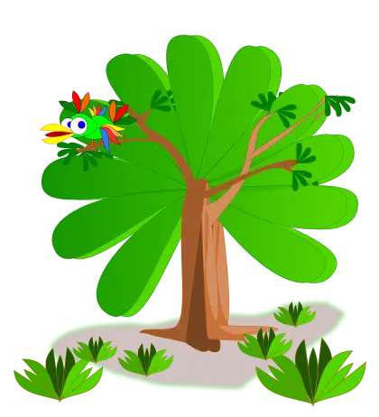 Tropical Tree with a Colorful Parrot Illustration