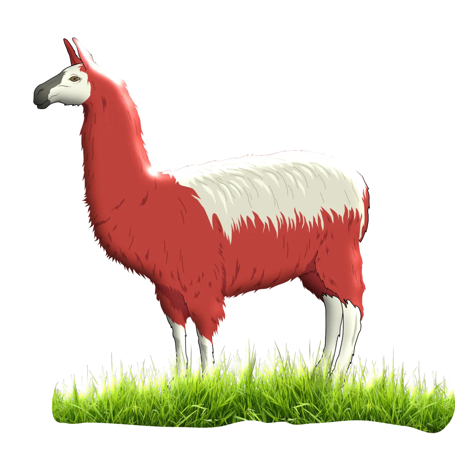 Red and White Llama Standing on Grass