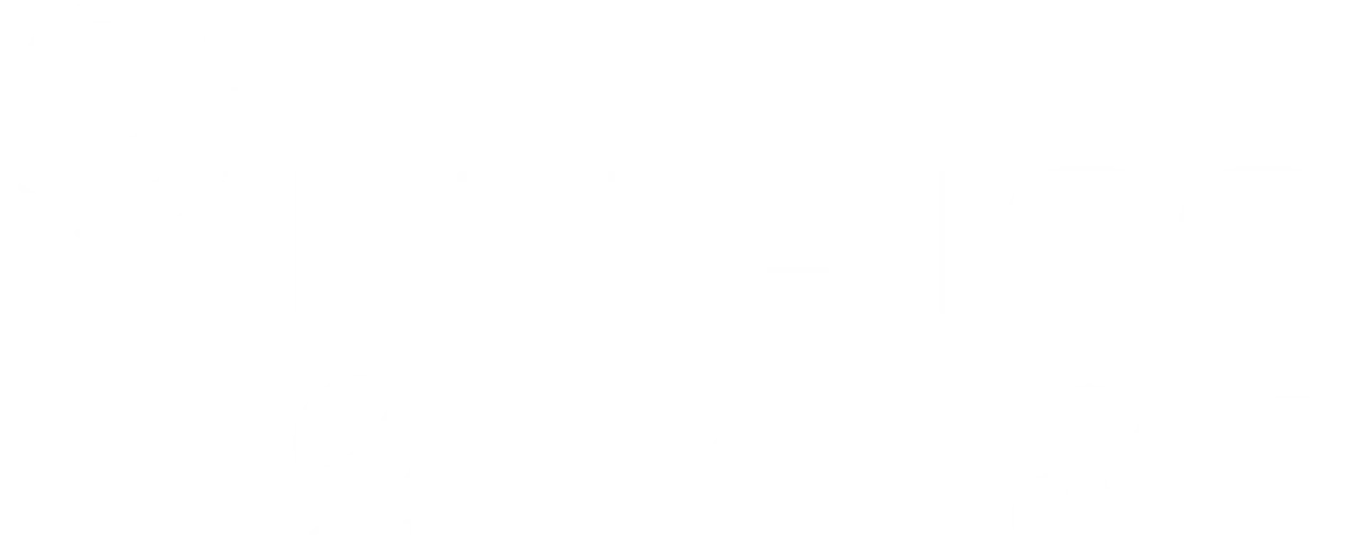 PepsiCo Logo and Branding Elements