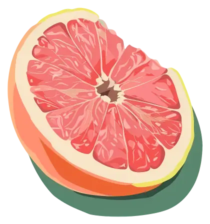 Grapefruit Slice Artwork
