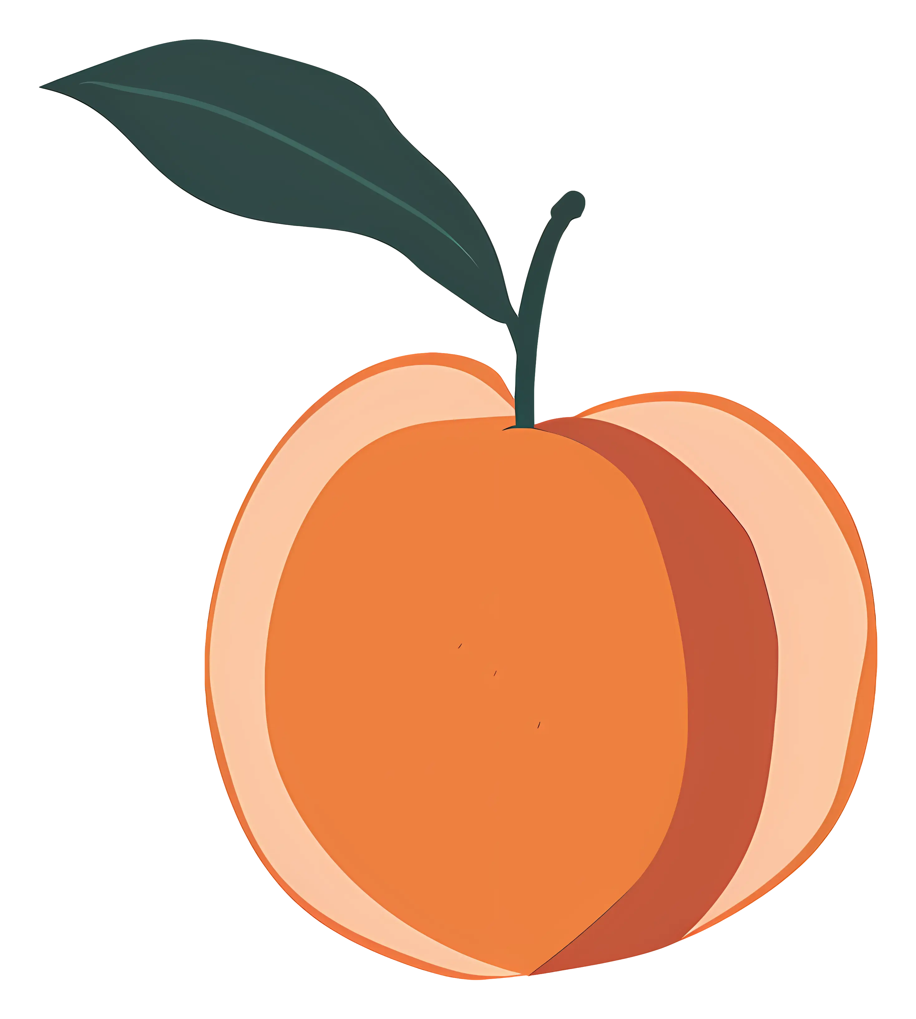Minimalist Peach Illustration