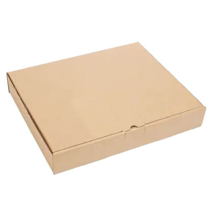 Brown Cardboard Packaging Box