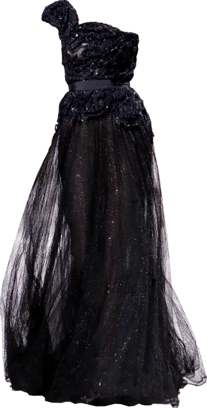 Elegant Black Dress