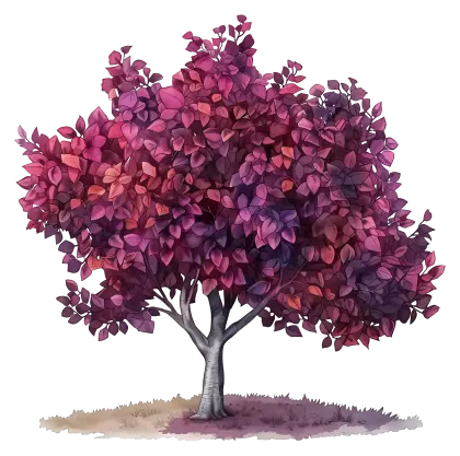 Purple-Leaf Tree Illustration for Nature Concept