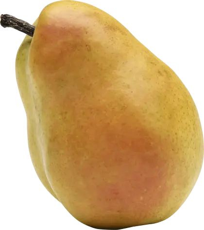 Ripe Pear Fruit Illustration