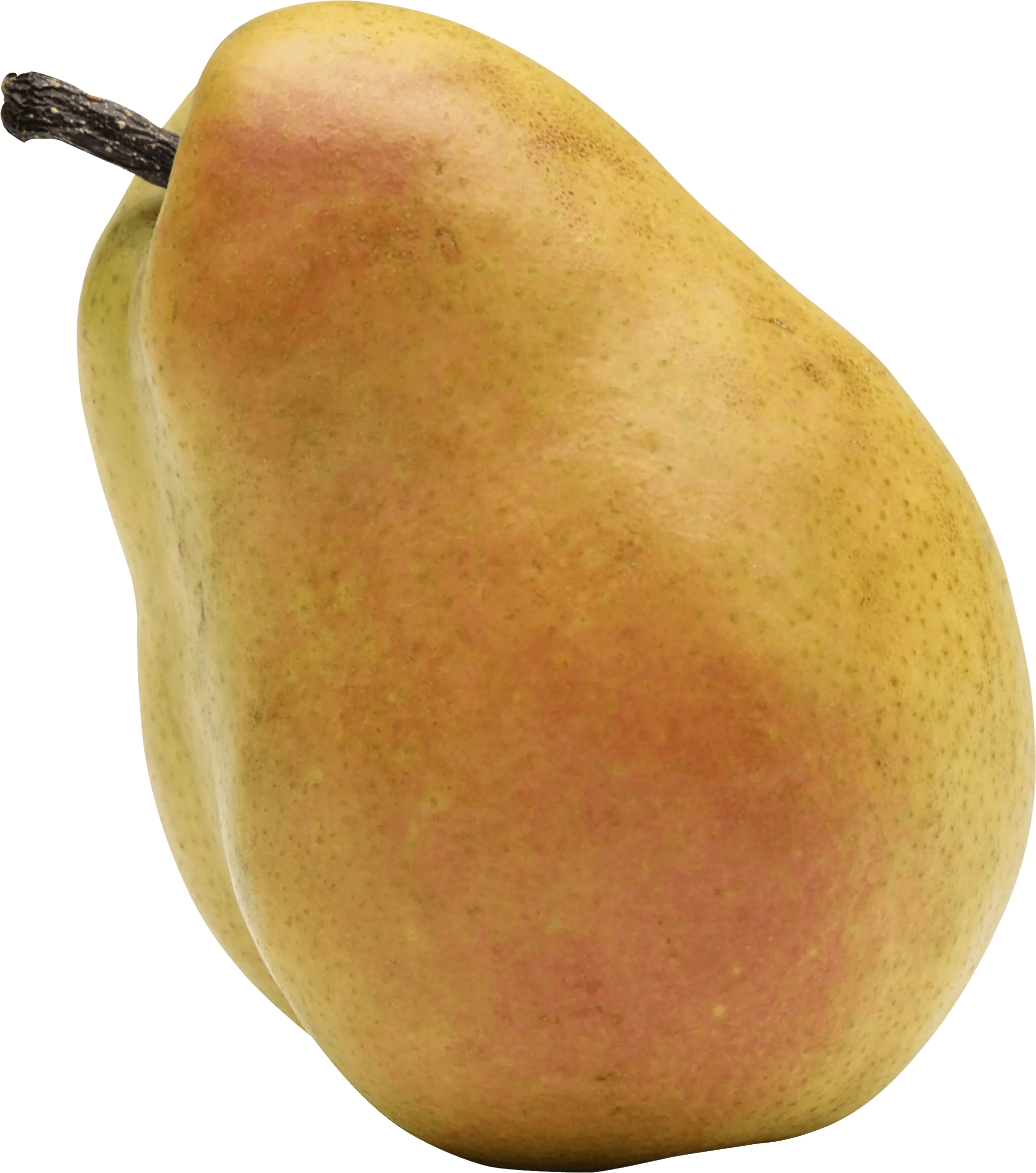 Ripe Pear Fruit Illustration