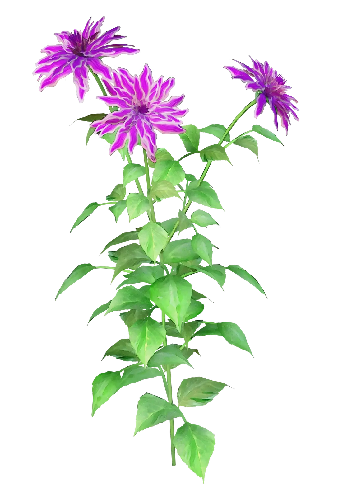 Purple Flowers with Green Leaves
