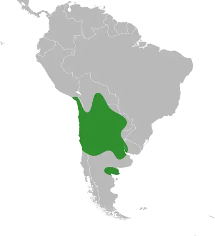 South America Map with Green Region Highlight